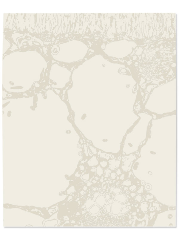 Eden Fossil