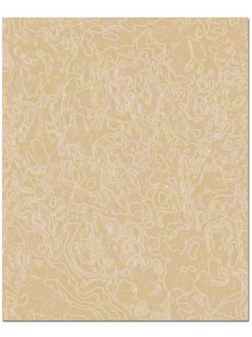 Ion in Rose Gold, 8ft. x 10 ft.