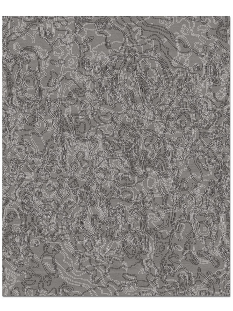 Ion in Shale, 8 ft. x 10 ft.